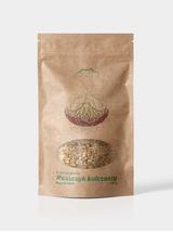 Ruszczyk kolczasty kłącze