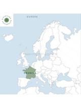 Olejek daglezjowy BIO 100% eteryczny