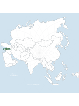 Czarnuszka siewna nasiona