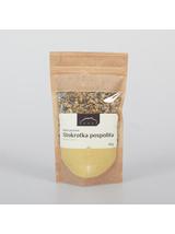 Stokrotka pospolita kwiat