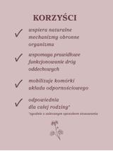 Pelargonia afrykańska wyciąg ziołowy 1:5