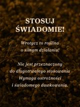Wrotycz kwiat dziko rosnący