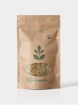 Tojeść pospolita ziele