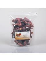 Reishi grzyb