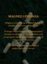 Cytrynian magnezu 100 kapsułek x 700mg