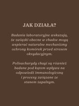 Czaga - guz brzozy
