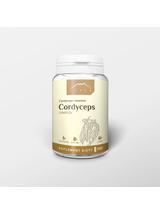 Cordyceps 100 kapsułek x 500 mg - maczużnik