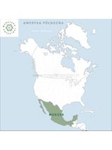 Yerba Santa ziele