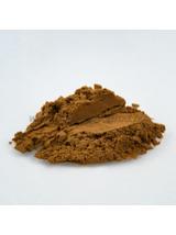 Reishi grzyb