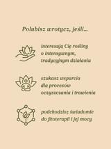 Wrotycz ziele