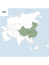 Reishi zarodniki rozłupane