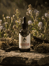 Prusznik amerykański nalewka 1:1 50ml