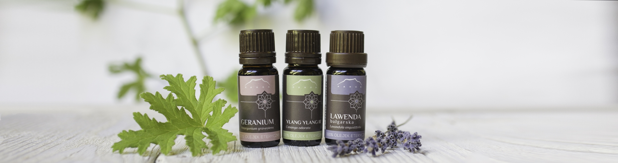 Odkryj z nami moc aromaterapii!