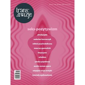 Trans/wizje nr 6