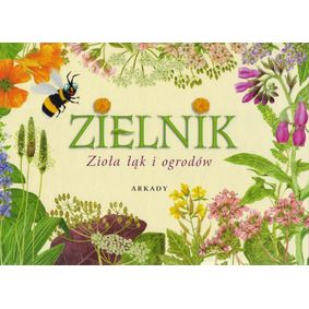 Zielnik zioła łąk i ogrodów