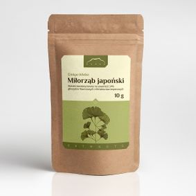 Ginkgo biloba ekstrakt 24% / 6%