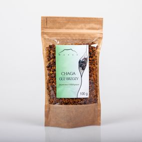 Chaga - guz brzozy
