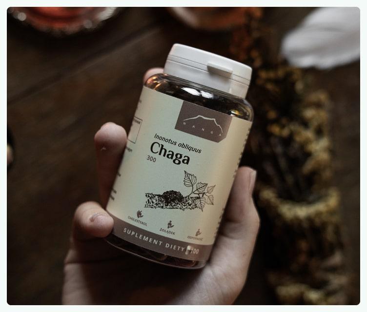  Brzoza i chaga – dialog światła z cieniem, który przywraca równowagę