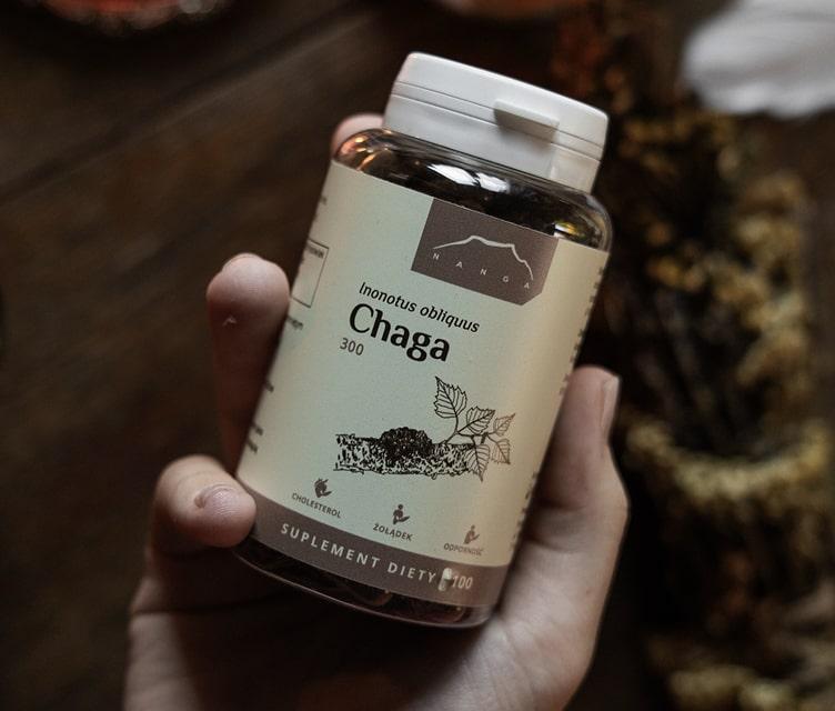  Brzoza i chaga – dialog światła z cieniem, który przywraca równowagę